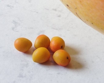5x Cute Miniature Mangoes - Scale 1:12