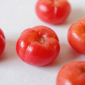 5x Cute Miniature Dollhouse Tomatoes - Scale 1:12