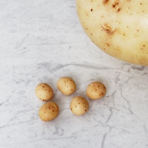 May include: A close-up shot of a large, light brown potato with several small, round, light brown potatoes with brown spots. The potatoes are on a white and gray marble surface. A green square logo is in the upper left corner.