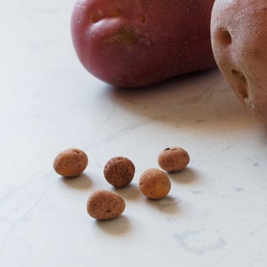 May include: Six small, brown, round clay balls on a white marble surface, next to two large red potatoes.