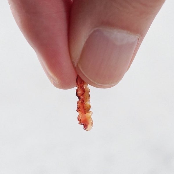 5x Miniature Crispy Bacon Strips  - Scale 1:12