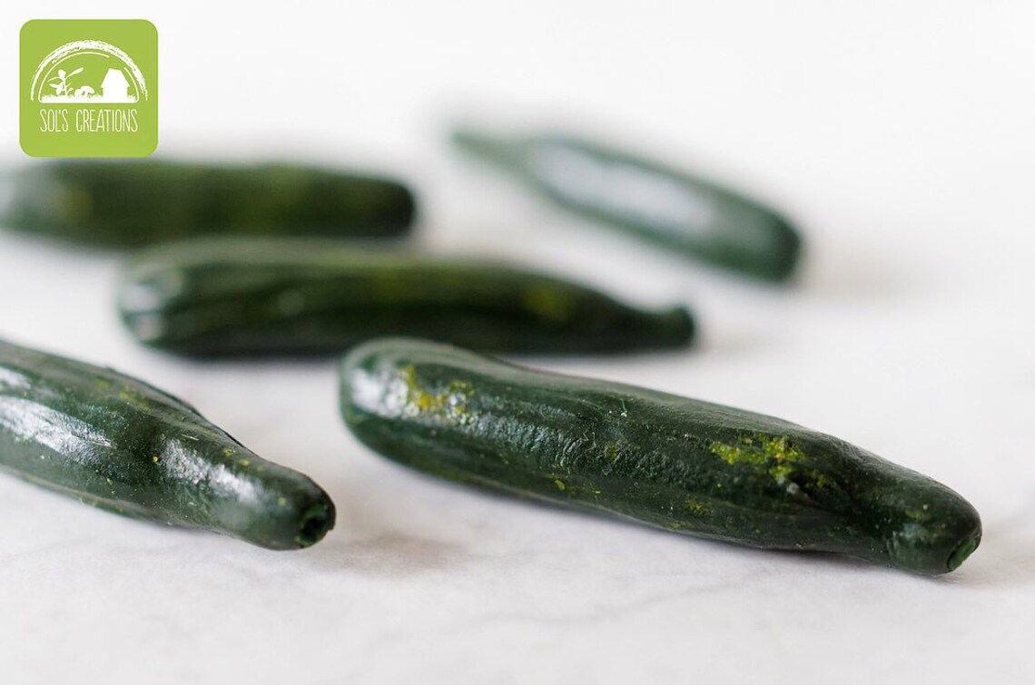 5 Inch Cucomber 5x Cute Miniature Continental Cucumbers - Scale 1:12 - Etsy