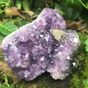 Amethyst with Calcite Specimen Geode ~ Uruguay