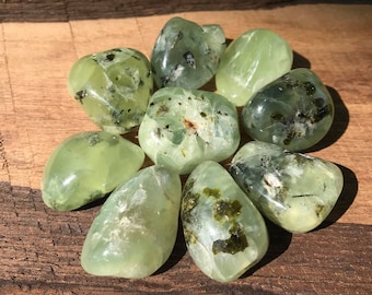 Puede incluir: Una colección de nueve piedras de prehnita lisas y redondeadas. Las piedras son de color verde pálido con inclusiones verdes oscuras y negras. Están dispuestas sobre una superficie de madera.
