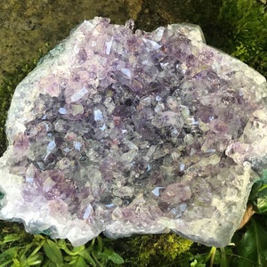 Amethyst Geode ~ Uruguay