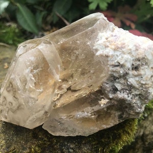 Smoky Elestial Quartz  Point Specimen ~ Brazil