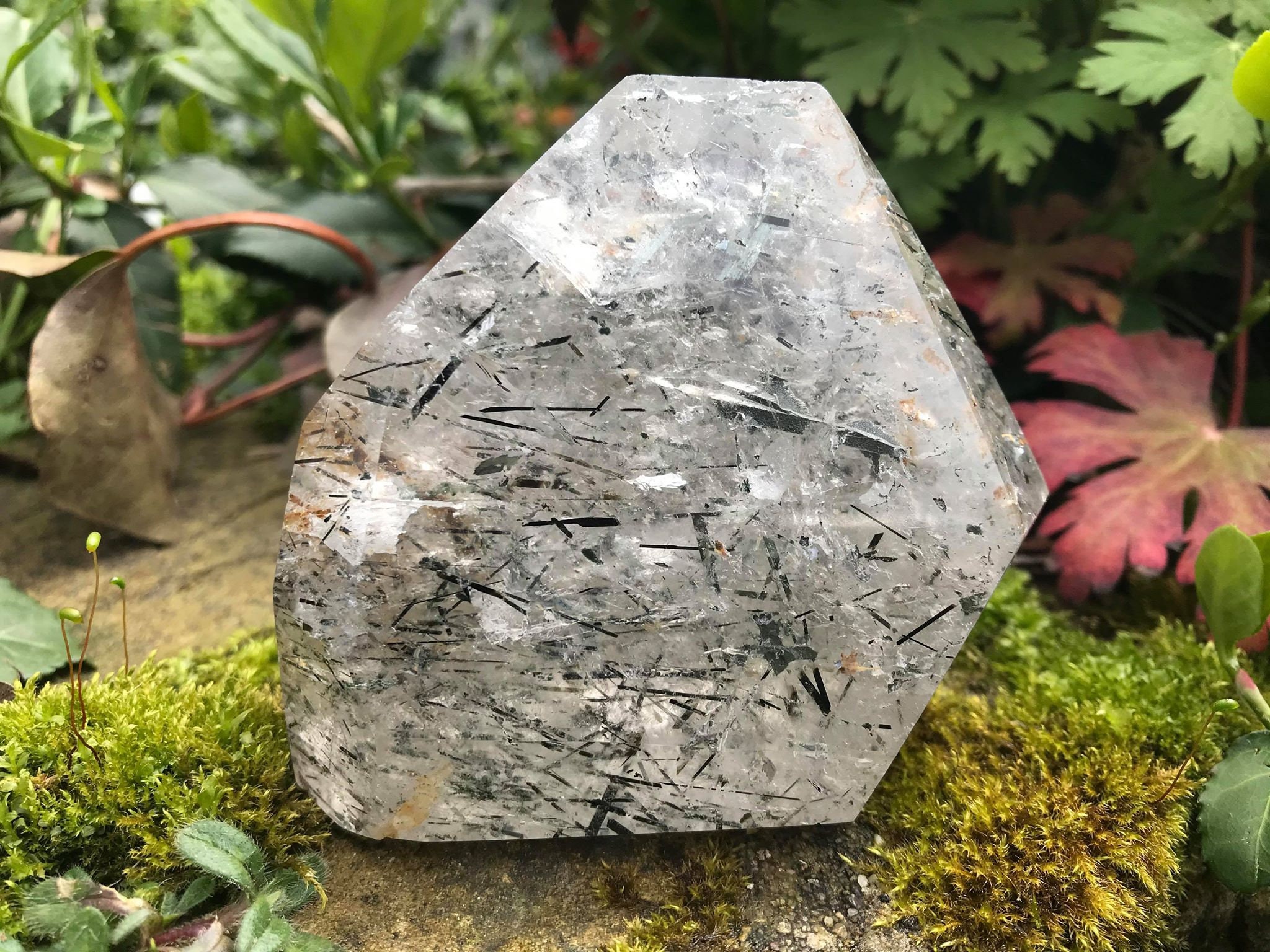 Großer Schwarzer Turmalinierter Bergkristall Generator Point | Etsy