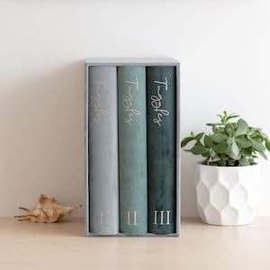 Slip In Photo Album for 300 4x6 Photos, Wedding Photo Album with Sleeves