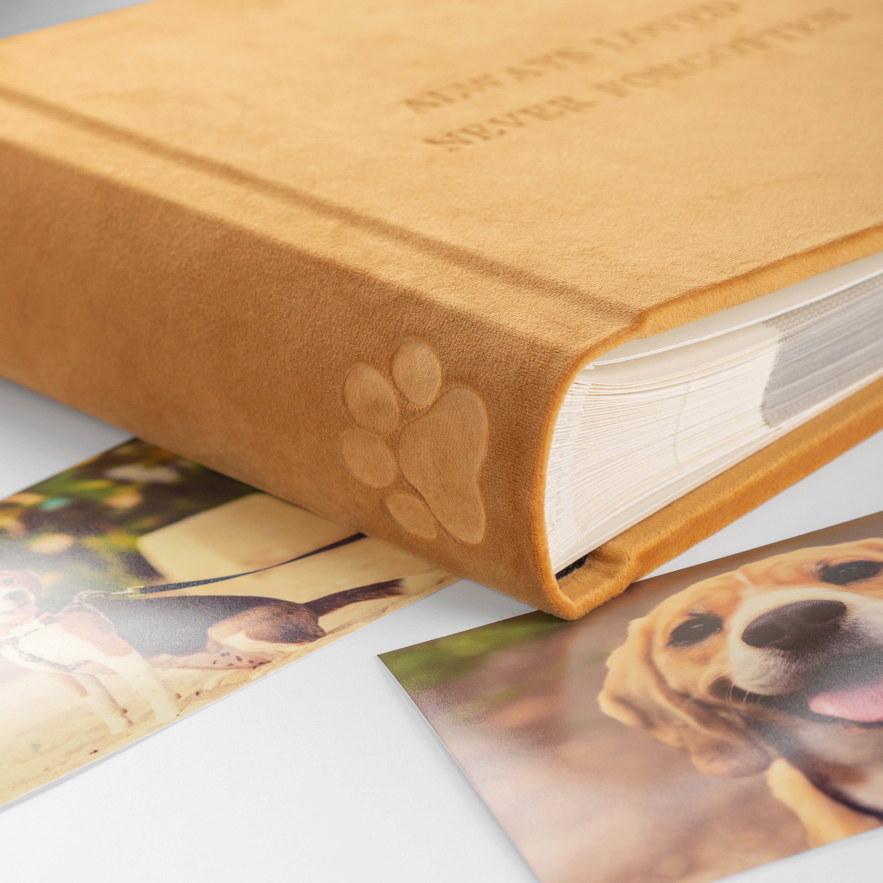 Dog Photo Album Dog Memorial Album With Embossed Paw Velvet Etsy