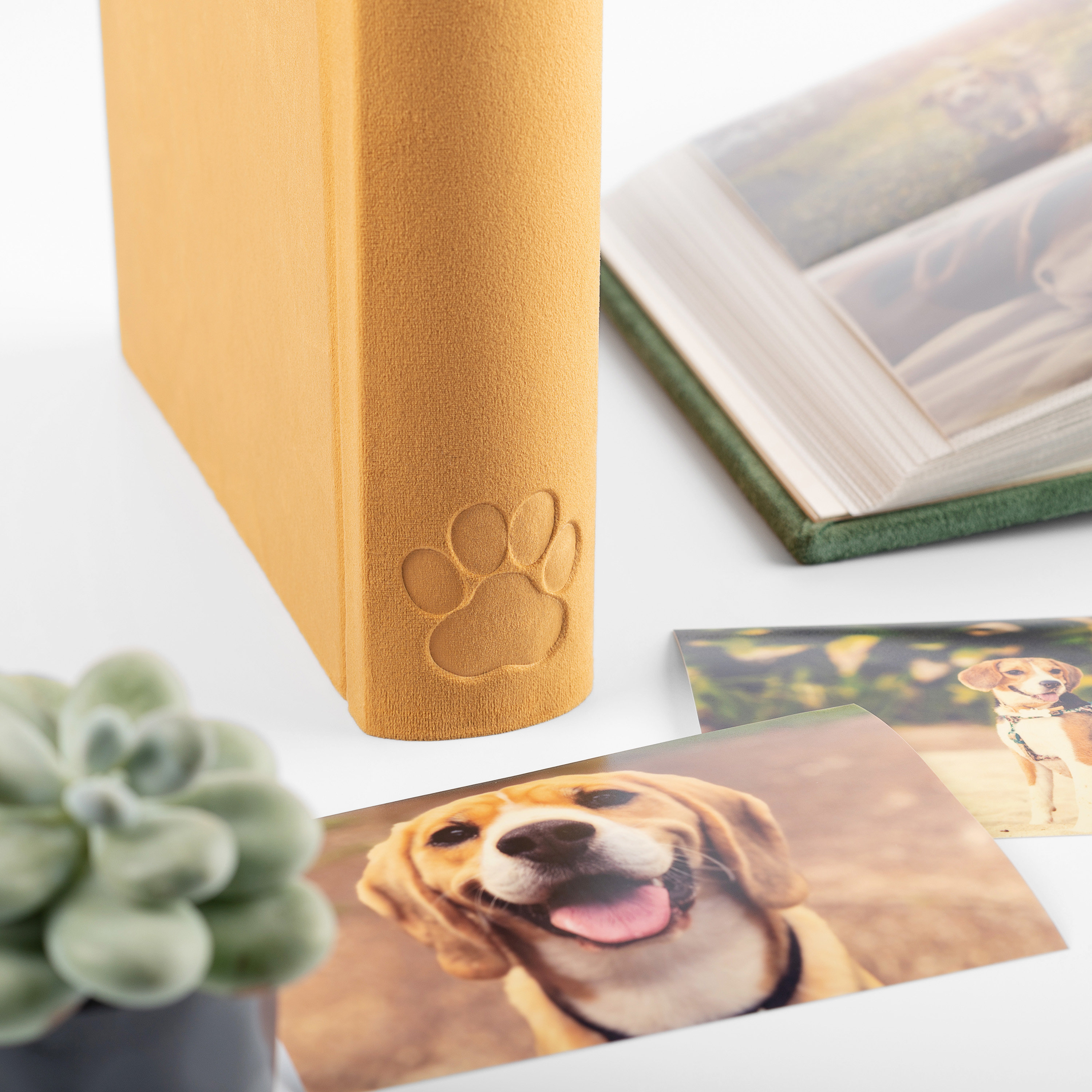 Dog Photo Album Dog Memorial Album With Embossed Paw Velvet Etsy