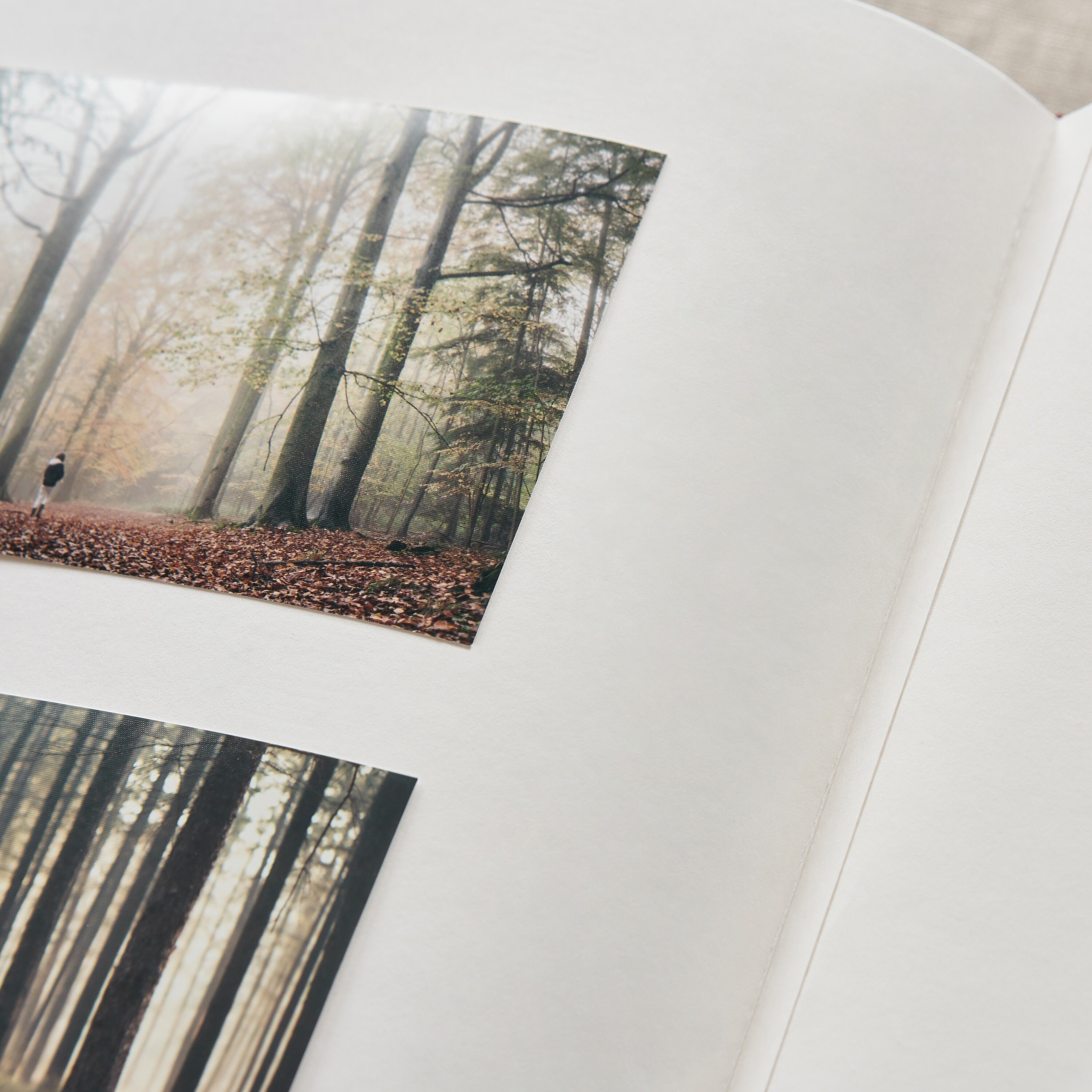 Henzo Photo Splits to Glue Photos on Photo Album Photo Etsy Australia