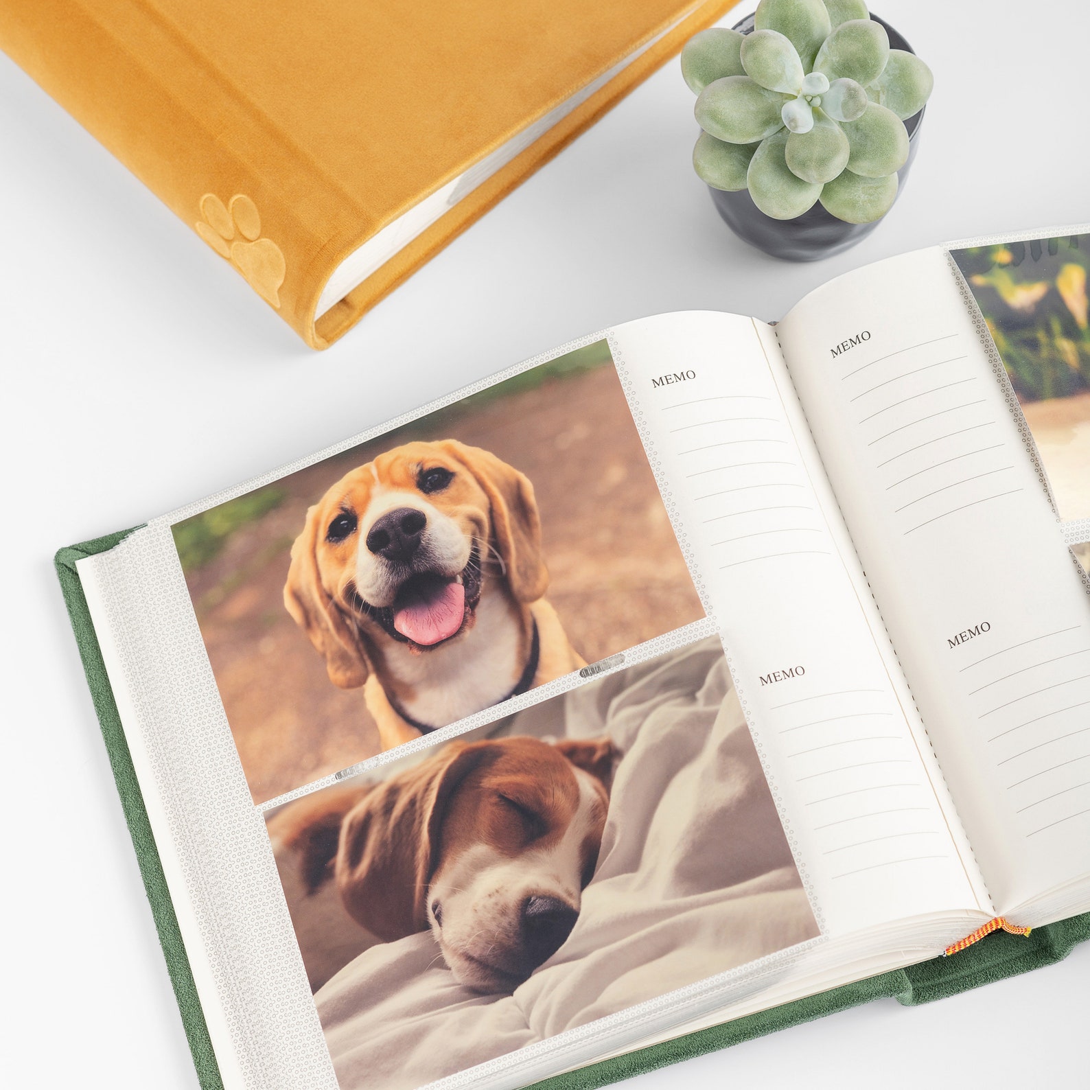 Dog Photo Album Dog Memorial Album With Embossed Paw Velvet Etsy