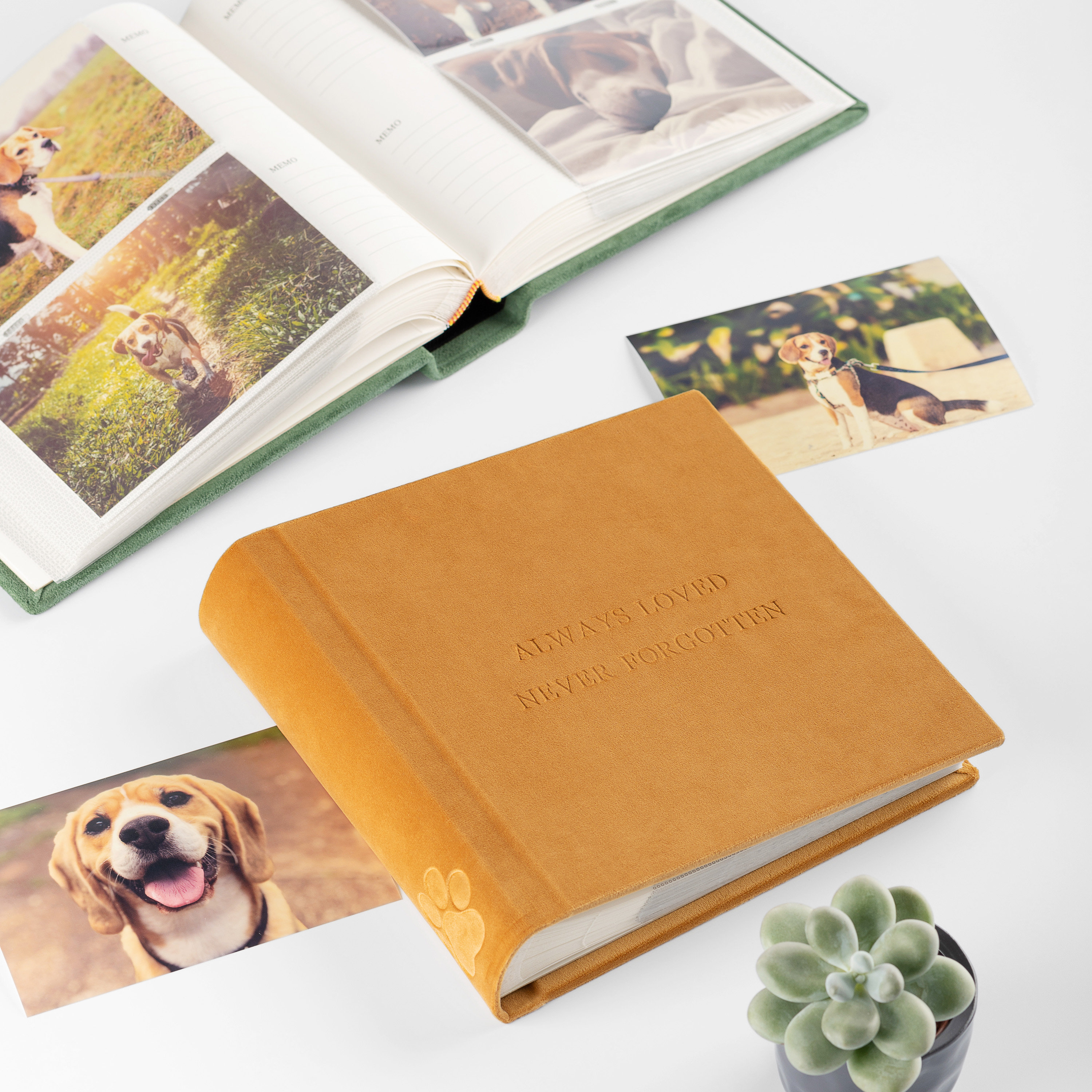Dog Photo Album Dog Memorial Album With Embossed Paw Velvet Etsy