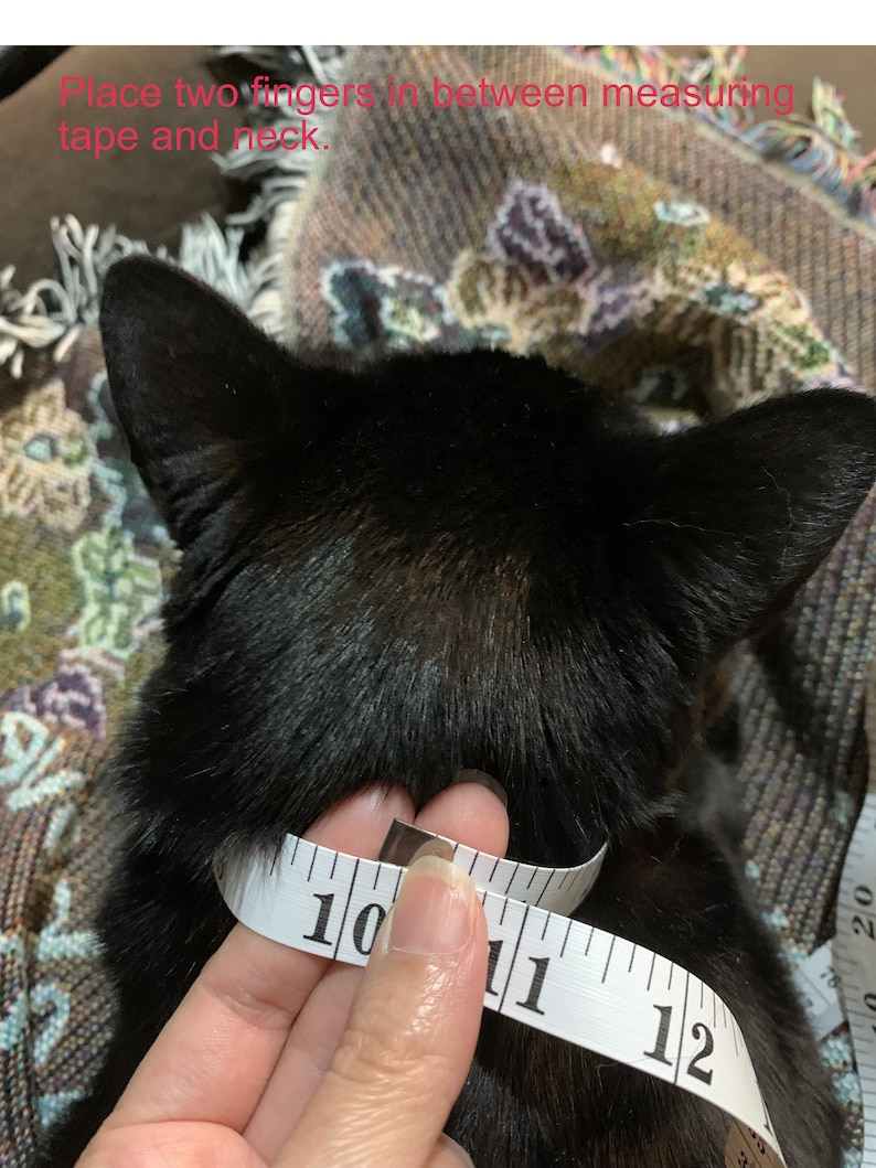 Luxury Pet Collar Prince Peacock Beaded Jewelrycat Collar Etsy