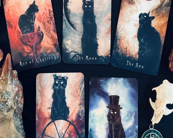 The Haunted Cat Tarot Deck - 78 Card Tarot Deck Featuring Original Surreal & Fantasy Feline Art by J Edward Neill