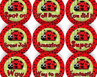Può includere: Nove adesivi di ricompensa a tema coccinella rossa e verde con diverse frasi: "Spot on", "Well Done", "You did it", "Great Job", "Amazing", "Super", "Wow", "Way to go" e "Fantastic".