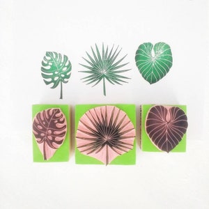 Tropical leaf rubber stamps, monstera leaf, palmetto leaf, fan palm leaf, summer stamps, image 1