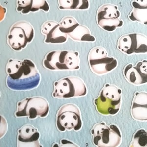 Mame Mame Dierensticker (Panda)maskersticker uit Japan<mindwave>