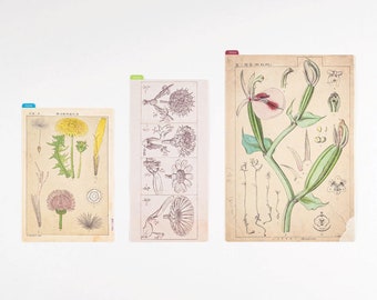 Hobonichi Folder Set - A6 - Yumi Kitagishi: Little Gifts – Yoseka Stationery