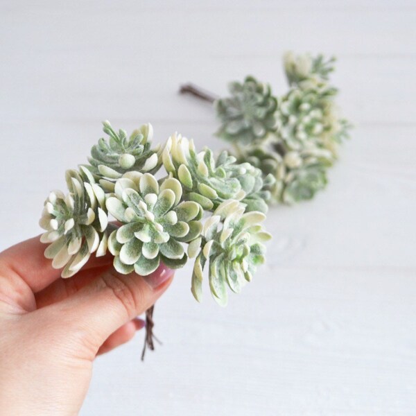 Fake Plant Terrarium Etsy