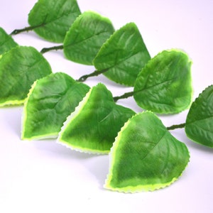 May include: A set of artificial green leaves with a white border. The leaves are arranged in a row and have a realistic appearance.