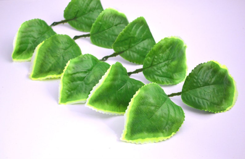 May include: A set of artificial green leaves with a white border. The leaves are arranged in a row and have a realistic appearance.