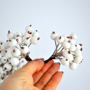 May include: White berry sprigs with brown stems. The berries are frosted and have a slightly textured surface.