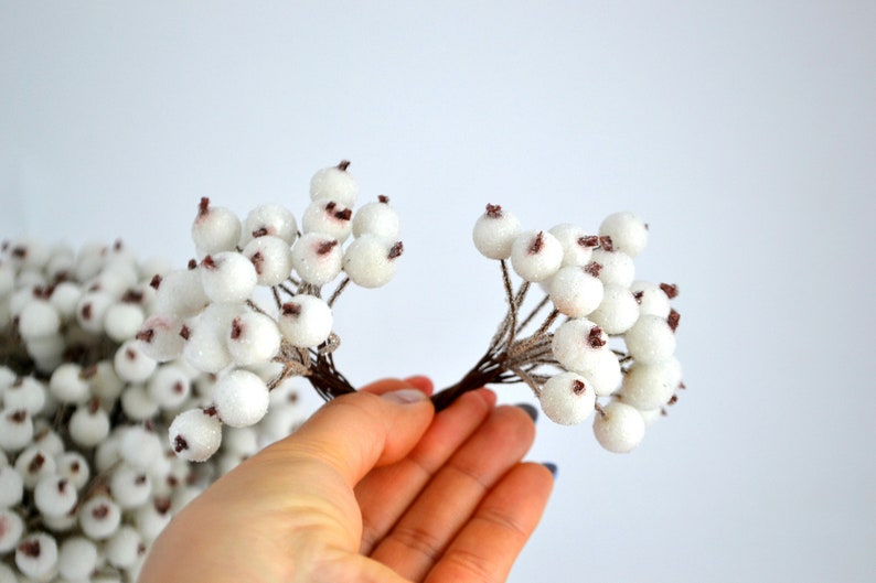 May include: White berry sprigs with brown stems. The berries are frosted and have a slightly textured surface.