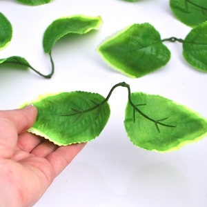 May include: A collection of artificial green leaves with a light green border. The leaves are made of a soft, pliable material and have a realistic appearance.