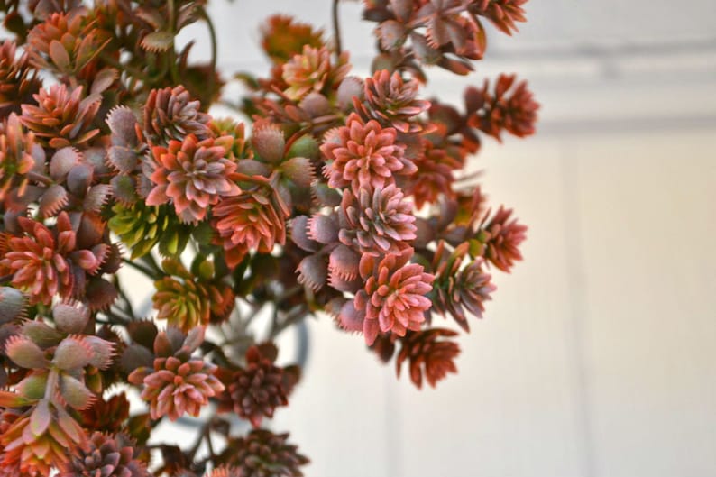 Wreath filler Wedding greenery Succulent wreath Burgundy greenery Faux flowers Artificial succulent Fake plants
