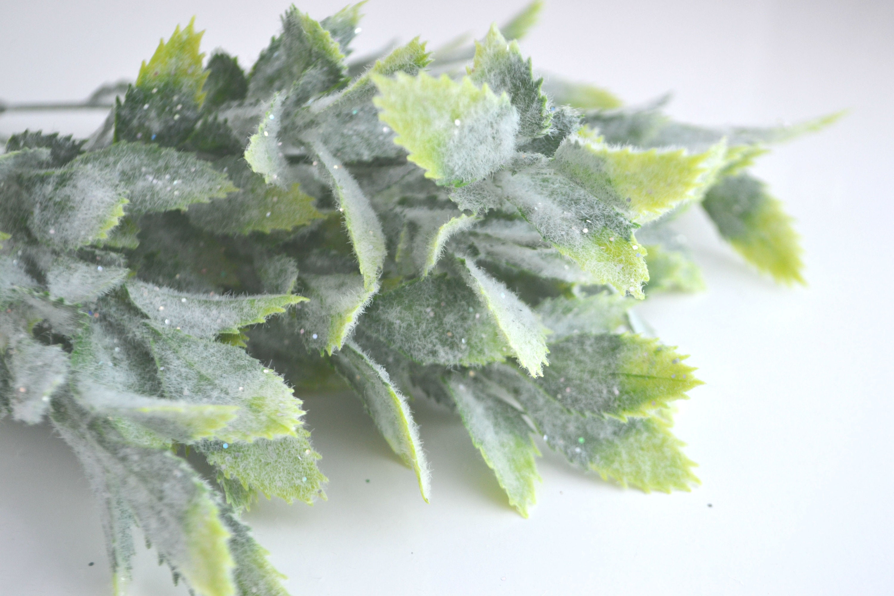 Christmas greenery stems 5 Pieces Fake plants Dusty leaves Etsy