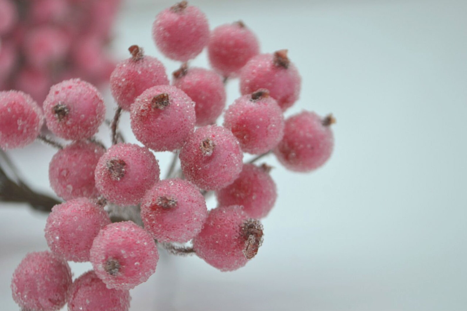 Artificial Berry in Pink Faux Berry on Wire Wrapping Gift Etsy