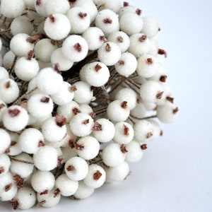 May include: A cluster of white berries with brown centers, resembling a wintery floral arrangement.
