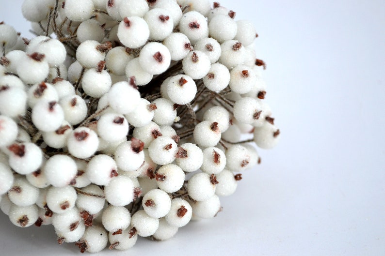 May include: A cluster of white berries with brown centers, resembling a wintery floral arrangement.