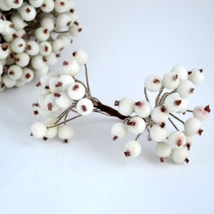 May include: White berry sprigs with brown centers. The berries are clustered together on thin stems.