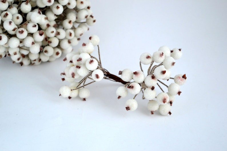 May include: White berry sprigs with brown centers. The berries are clustered together on thin stems.