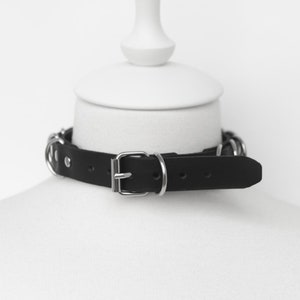 May include: A black leather choker with silver metal rings and a buckle closure.