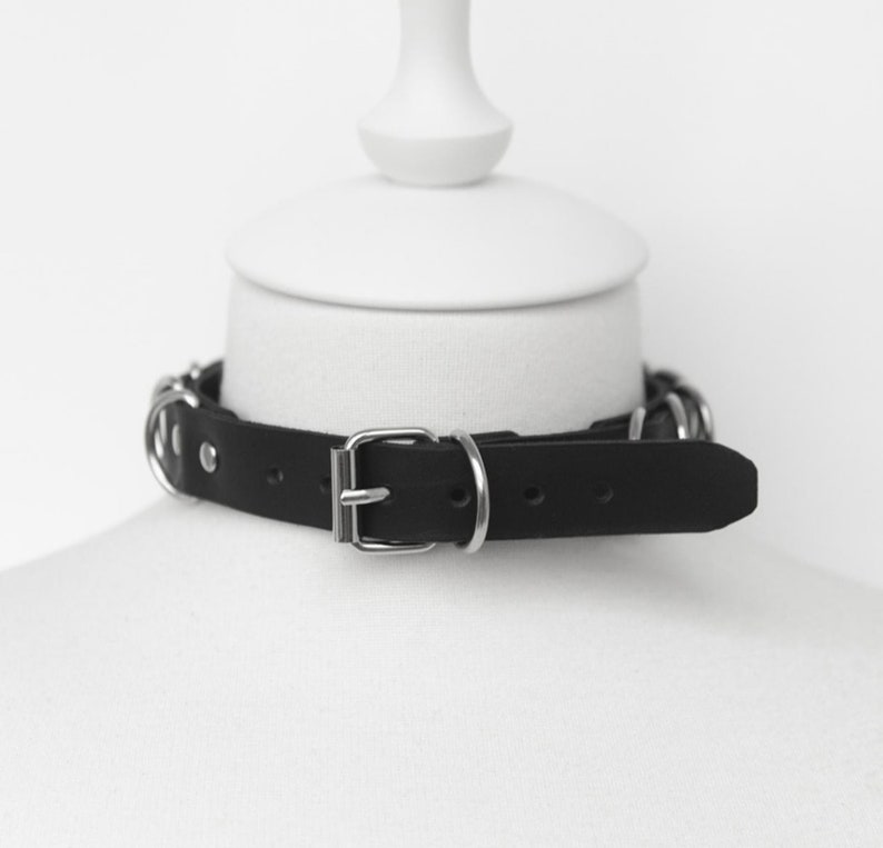 May include: A black leather choker with silver metal rings and a buckle closure.