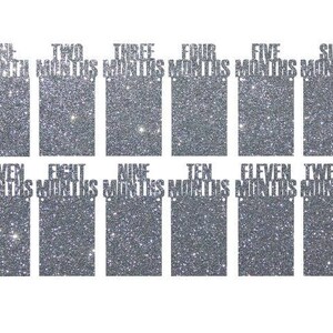 1st Birthday Photo Banner - Baby Milestone Decor From 1 To 12 Months, 12 Cards & Ribbon, Blue