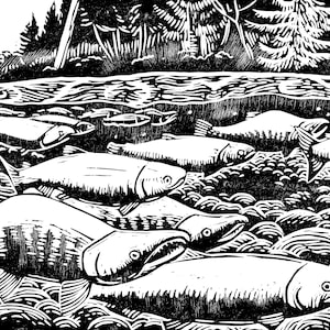 Saumon - impression linogravure originale