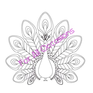 Adult Coloring Pages- Peacock Jpeg Image