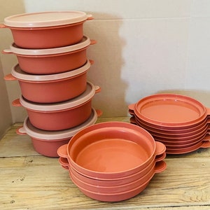 Tupperware Microwavable bowls and Lids (22)