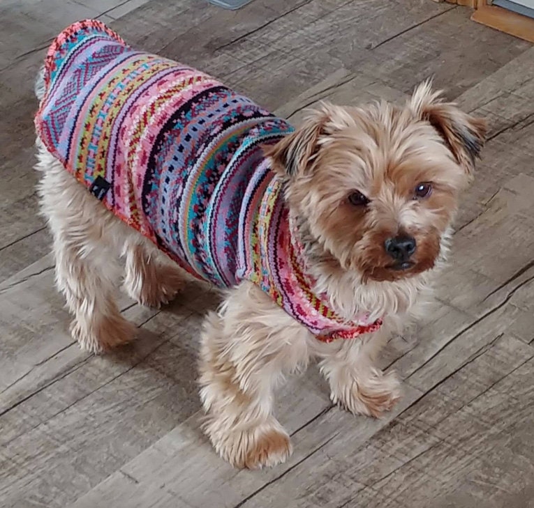 Dog sweater 50 lbs hot sale