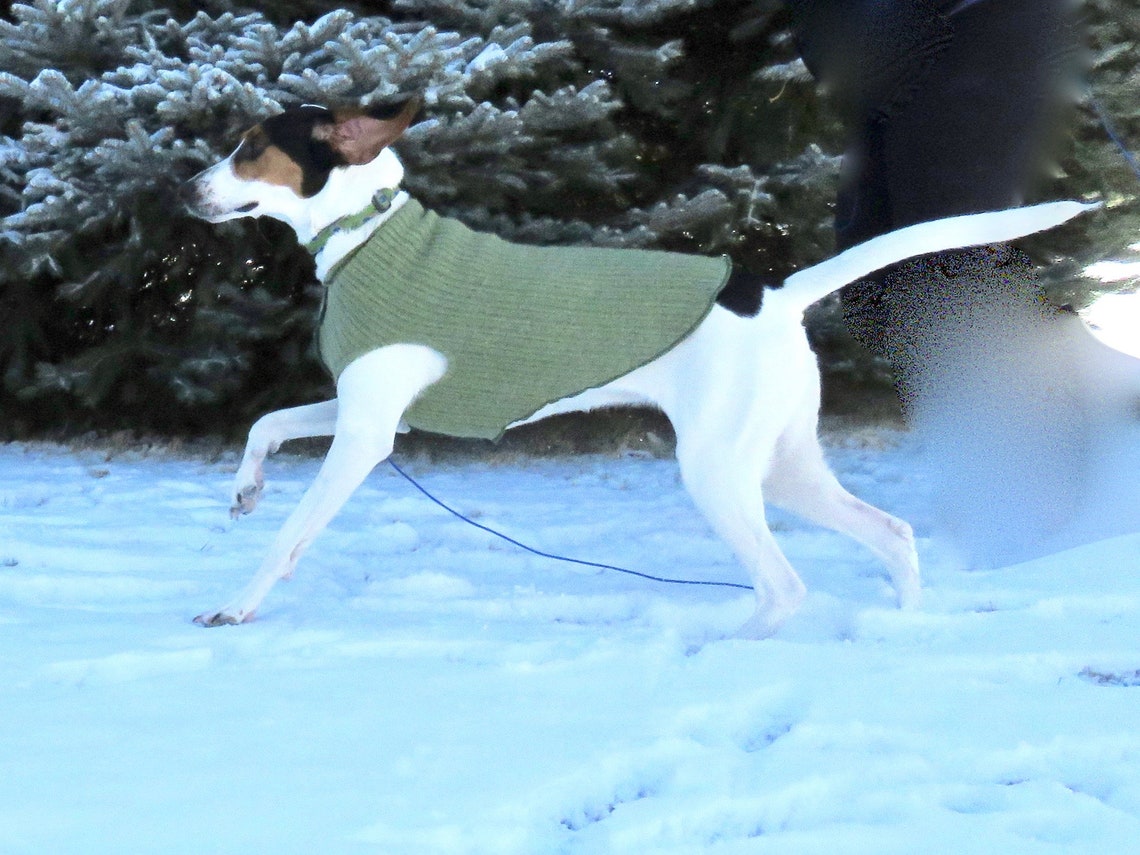 XL Wool Dog Sweater Great Dane Dog Coat Canine Cardigans Etsy