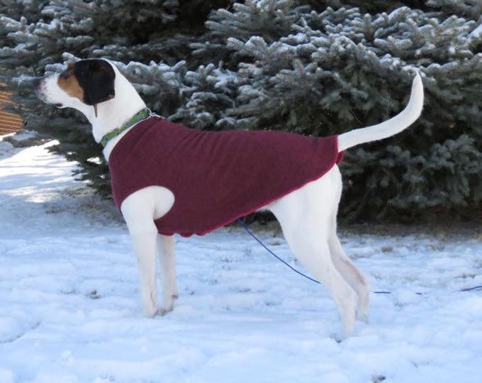 Cashmere XL Dog Sweater Large Dog Sweater BIG Dog Sweater Etsy
