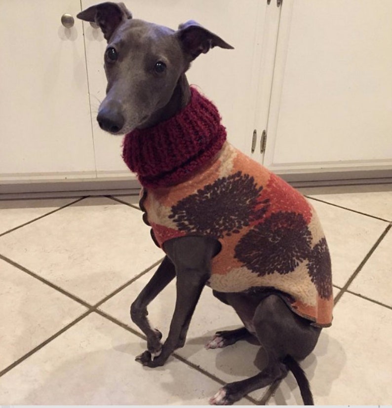 Hand Made Dog Clothes From Repurposed Sweater Dog Shirt Little Dog ...
