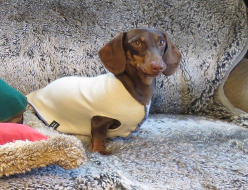 Wool Dog Coat Sweater for Italian Greyhound