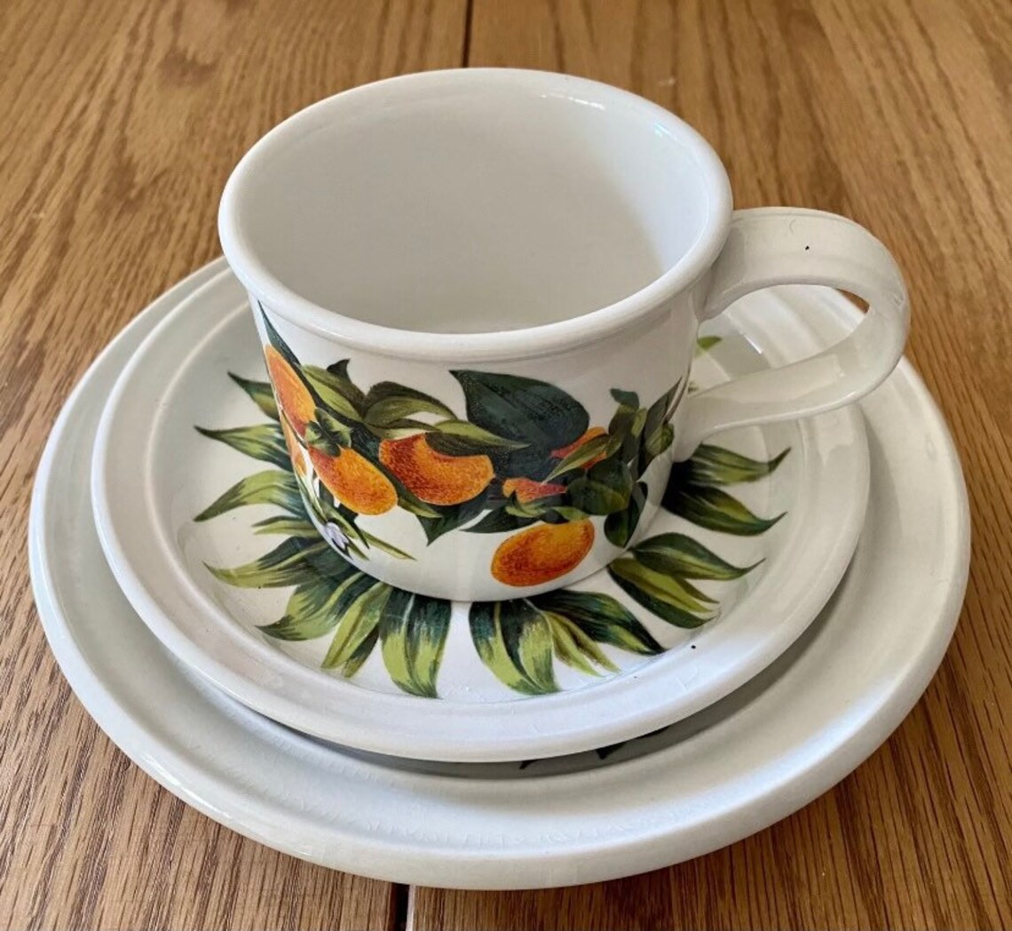 Vintage Portmeirion Oranges & Lemons Trio Tea Cup Saucer Side Etsy