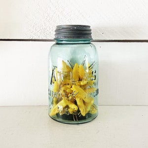 Beautiful Vintage Quart Aqua Blue Atlas Strong Shoulder Glass Jar w/ 50 Yellow Plastic Corn Cob Holders Atlas Glass Jar Zinc Porcelain Lid
