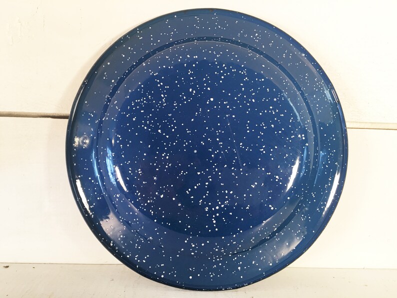 Set of 4 Blue and White Speckled Enamelware Dinner Plates W/ a Etsy